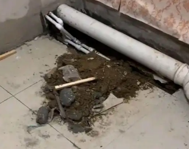 阜平卫生间漏水检测哪家好